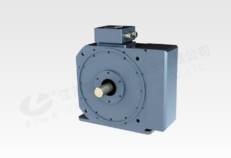 30KW 軸向磁通電機
