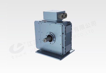 55KW 軸向磁通電機